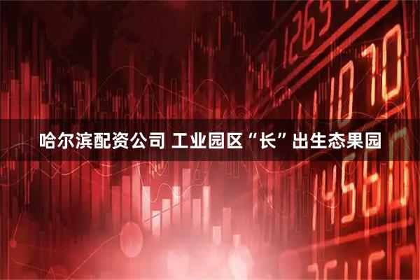 哈尔滨配资公司 工业园区“长”出生态果园