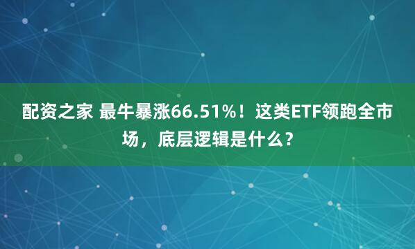 配资之家 最牛暴涨66.51%！这类ETF领跑全市场，底层逻辑是什么？